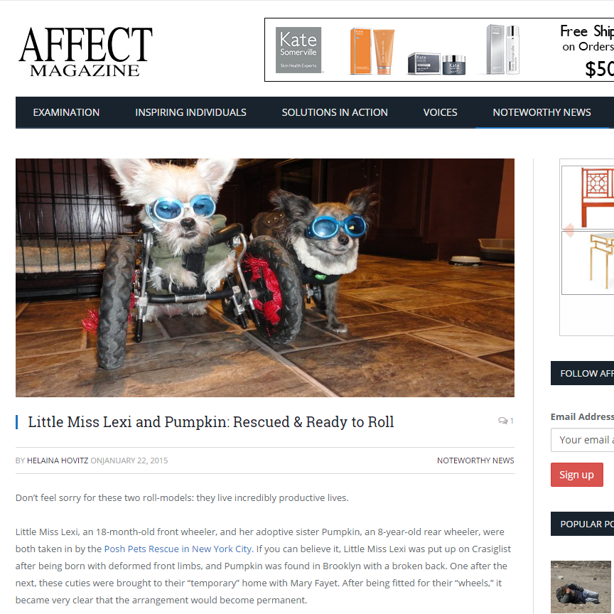 AffectMagazine.com