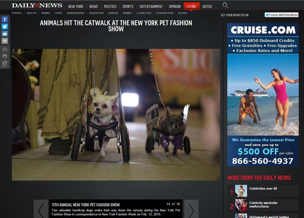 NewYorkDailyNews.com