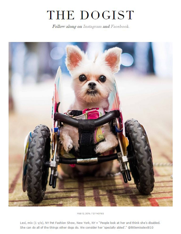 TheDogist.com