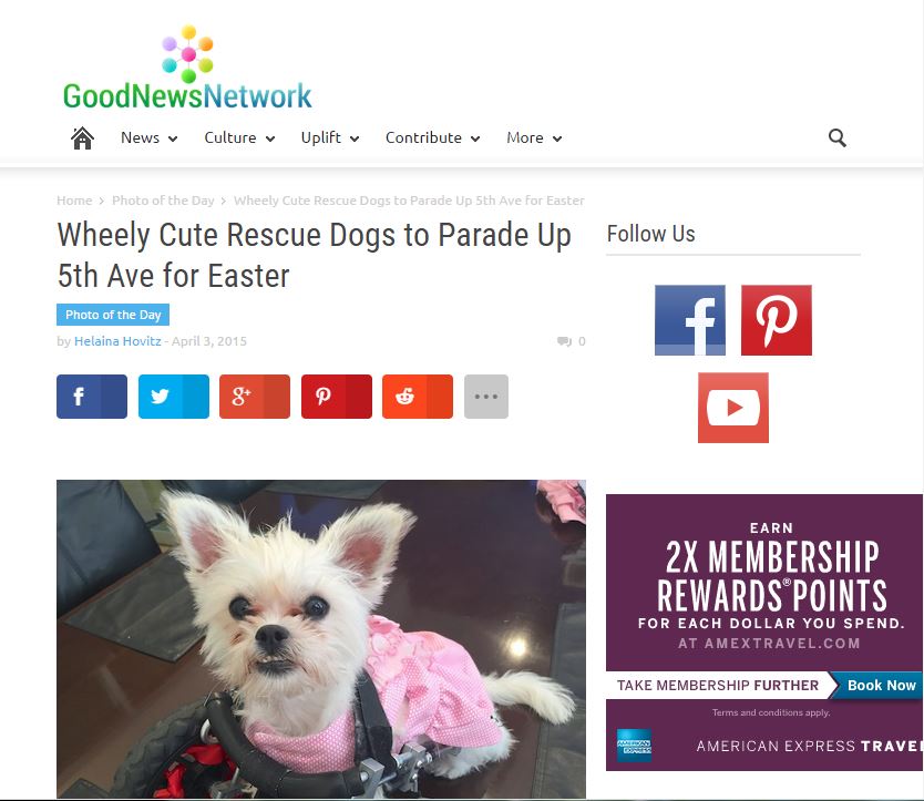 GoodNewsNetwork.com